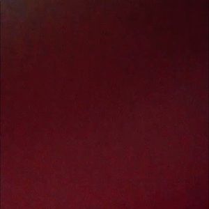 Meet your Posher, Leaiza